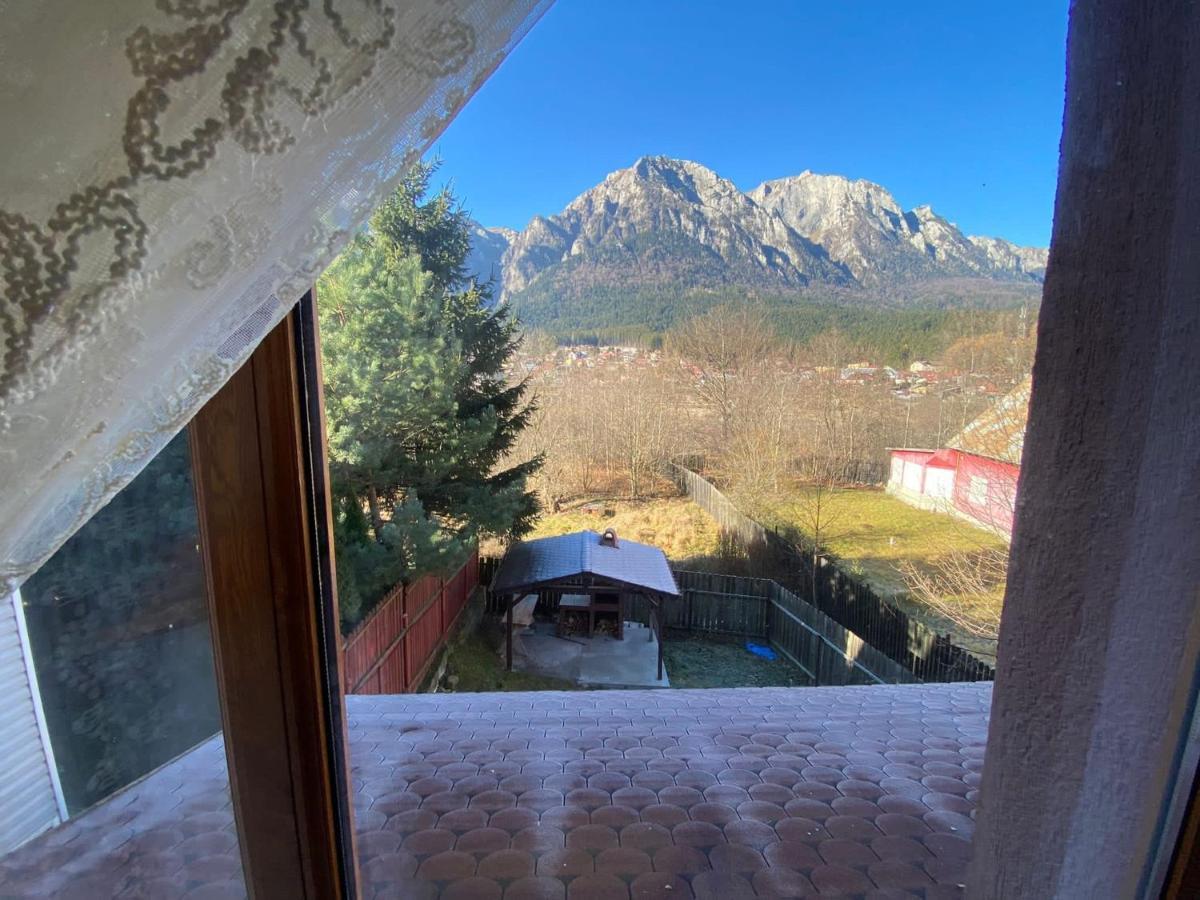 B House Buşteni Exteriér fotografie