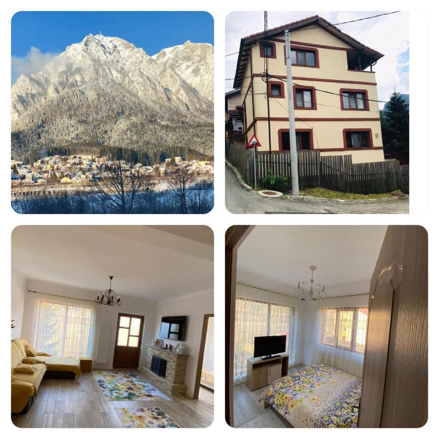 B House Buşteni Exteriér fotografie