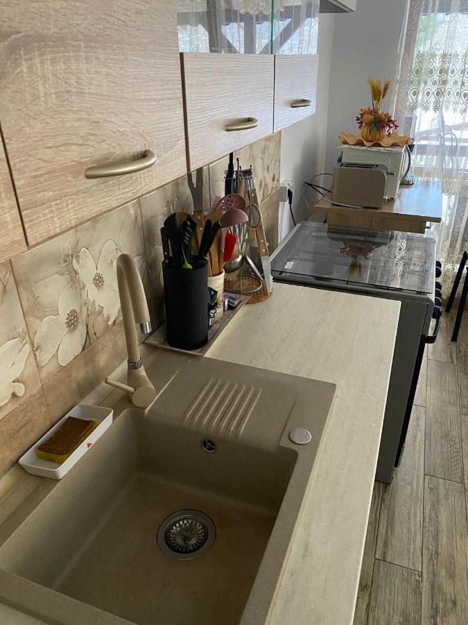 B House Buşteni Exteriér fotografie