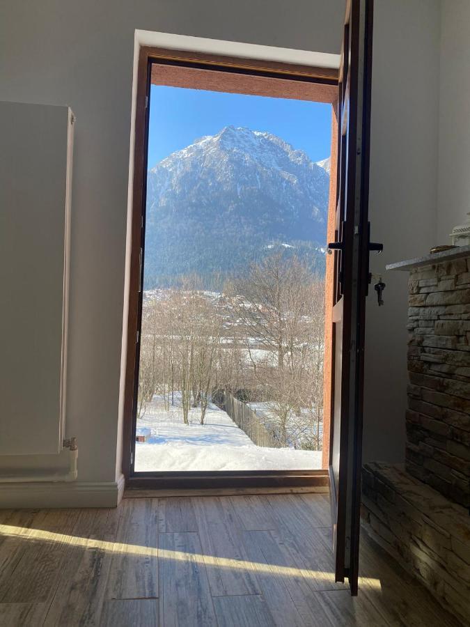 B House Buşteni Exteriér fotografie
