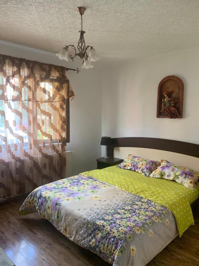B House Buşteni Exteriér fotografie
