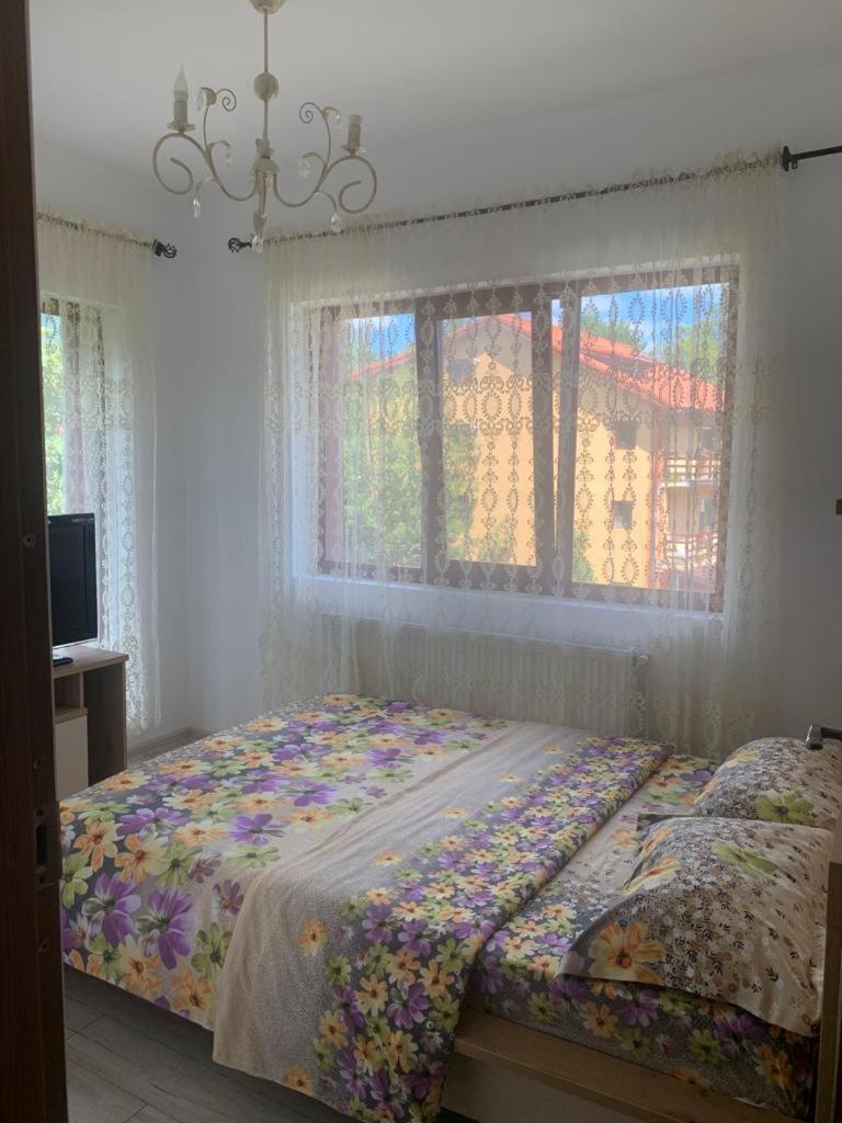 B House Buşteni Exteriér fotografie