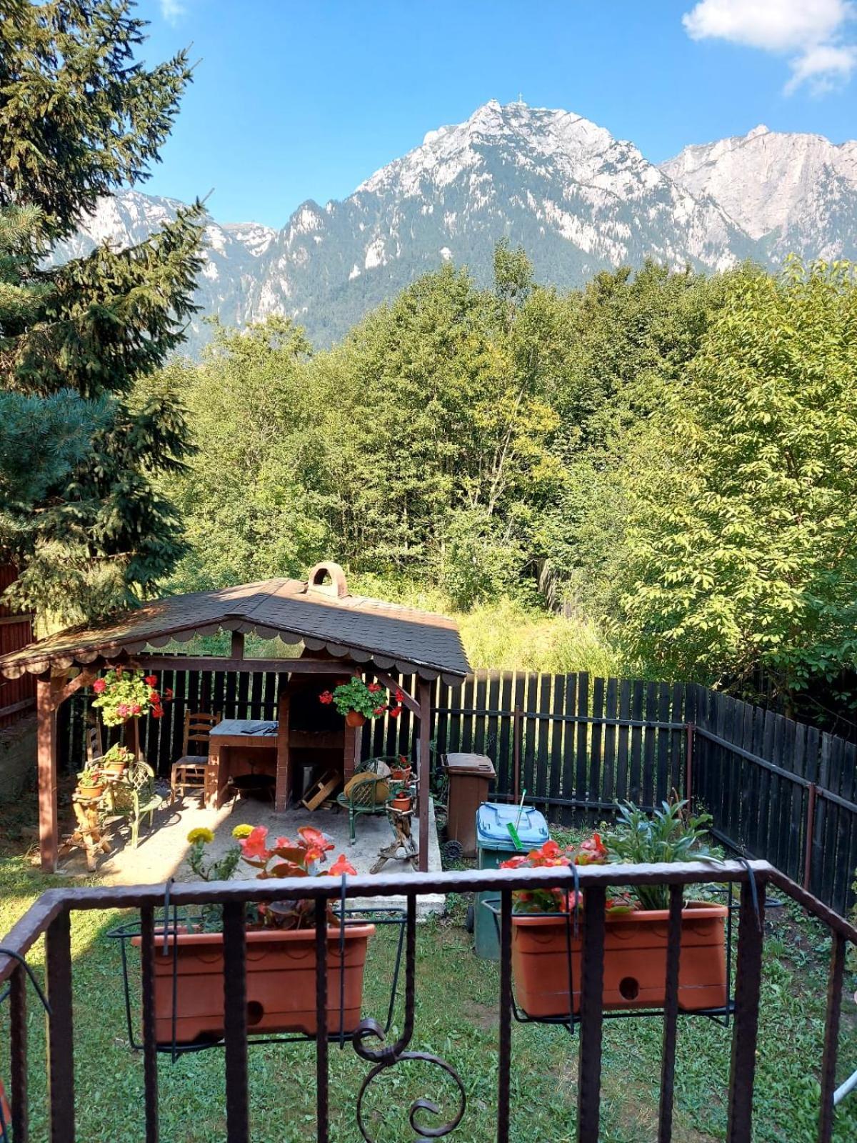 B House Buşteni Exteriér fotografie