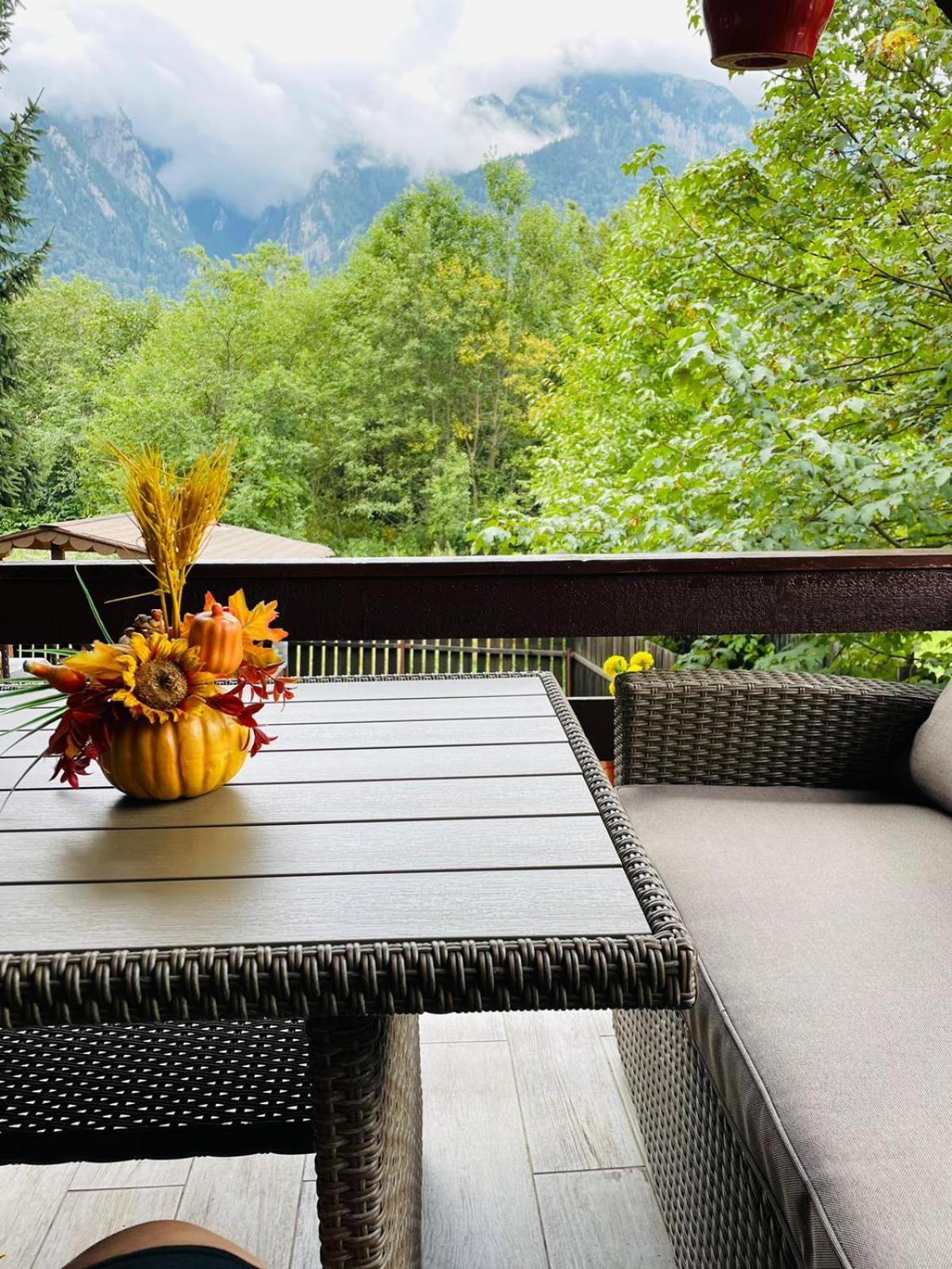 B House Buşteni Exteriér fotografie